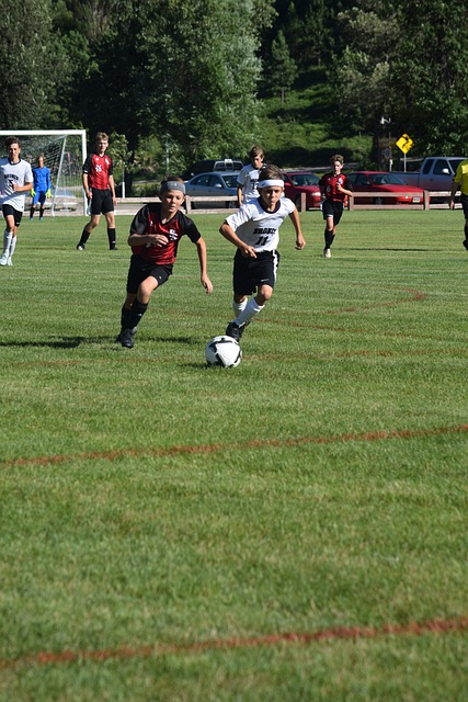 新秀的比赛 新秀的比赛