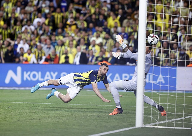 击败对手获 击败对手获